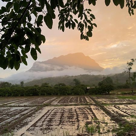 Отель Krathom Doi Luang Чианг Дао Экстерьер фото