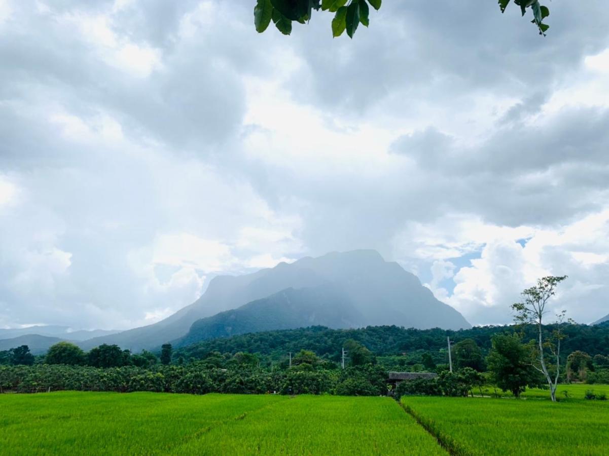 Отель Krathom Doi Luang Чианг Дао Экстерьер фото