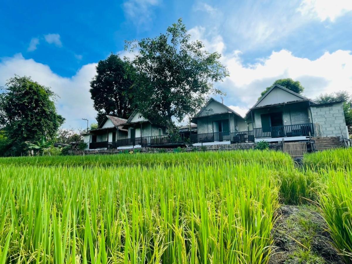 Отель Krathom Doi Luang Чианг Дао Экстерьер фото