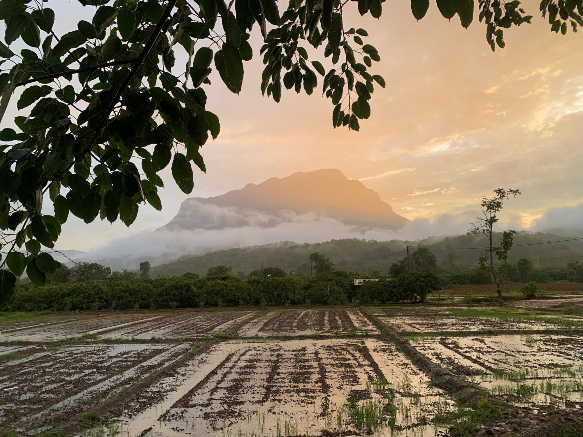 Отель Krathom Doi Luang Чианг Дао Экстерьер фото